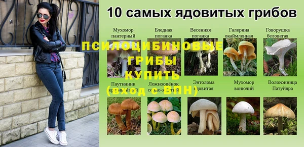 хмурый Семилуки