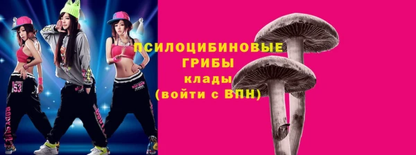 2c-b Семёнов