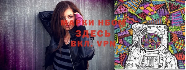 хмурый Семилуки