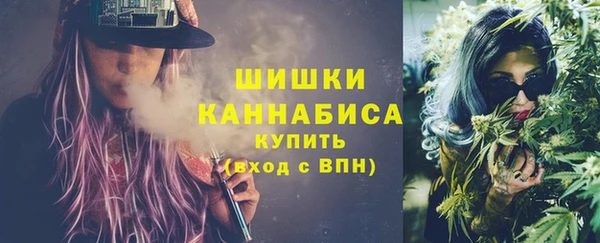 хмурый Семилуки