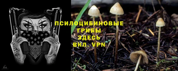 2c-b Семёнов