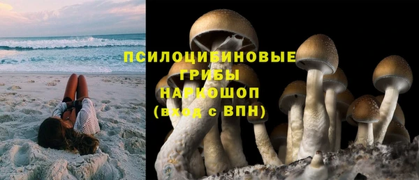 хмурый Семилуки