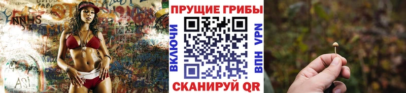 Галлюциногенные грибы прущие грибы  купить наркотик  Железногорск 